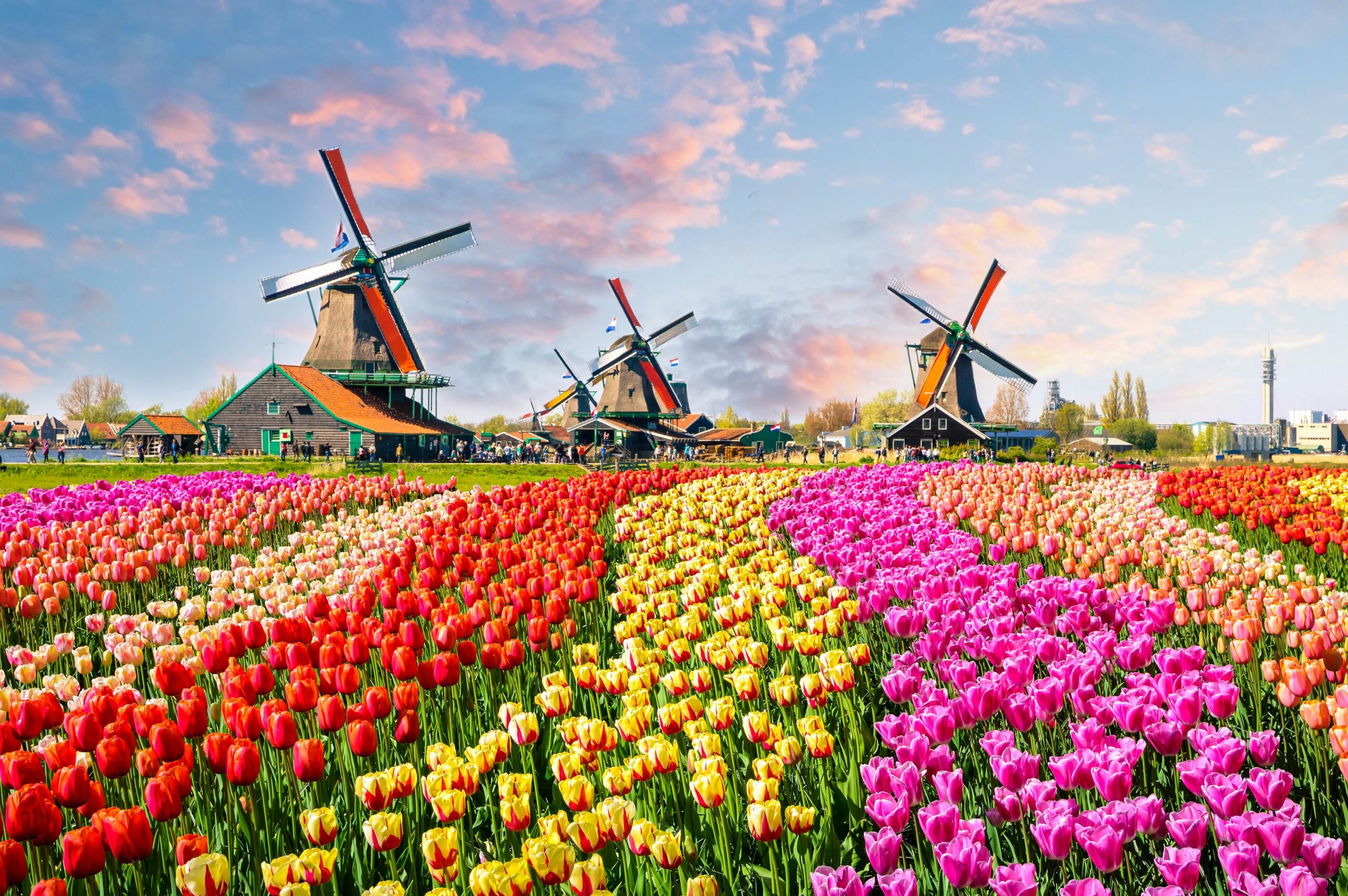 Exploring the Netherlands